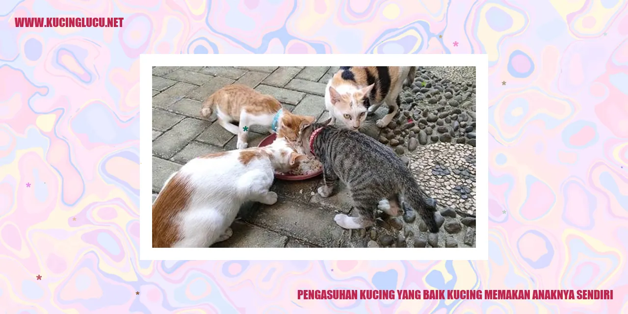 Ilustrasi Kucing