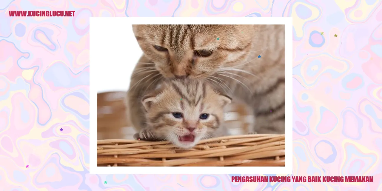 Pengasuhan Kucing yang Baik