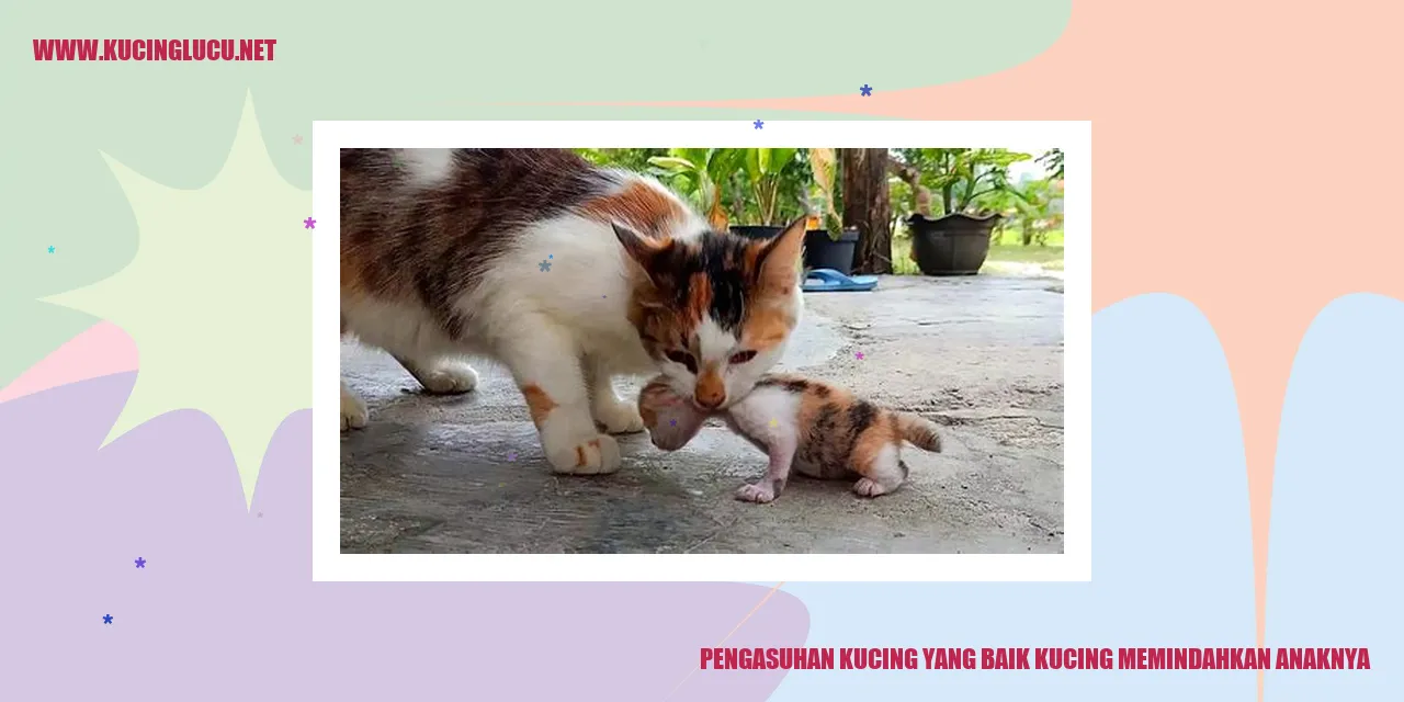 Gambar Kucing dan Anaknya