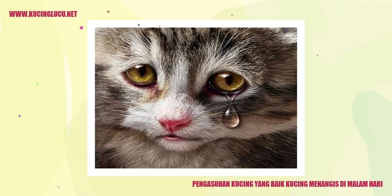 Kucing yang Menangis di Malam Hari