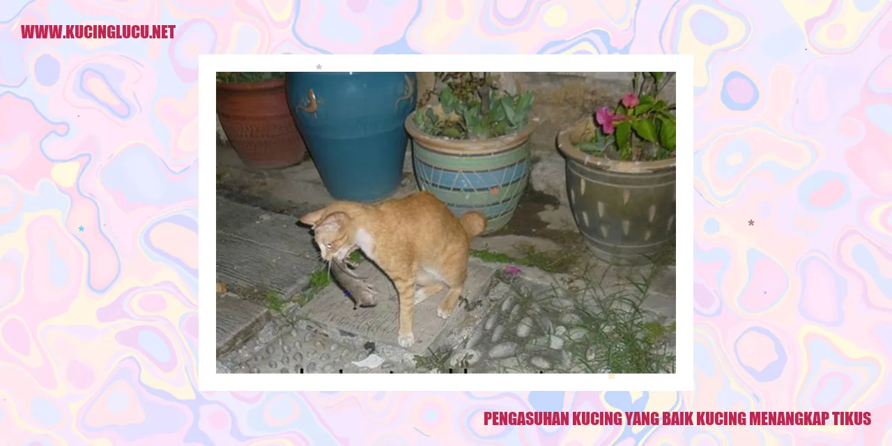 Kucing Menangkap Tikus