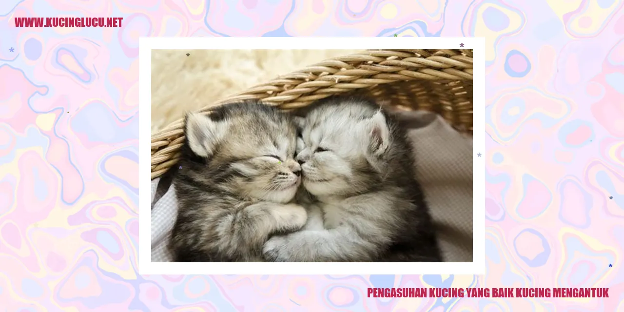 Kucing Penuh Kehangatan