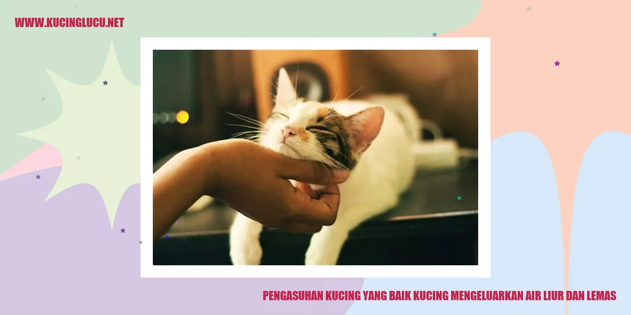 kucing mengeluarkan air liur dan lemas