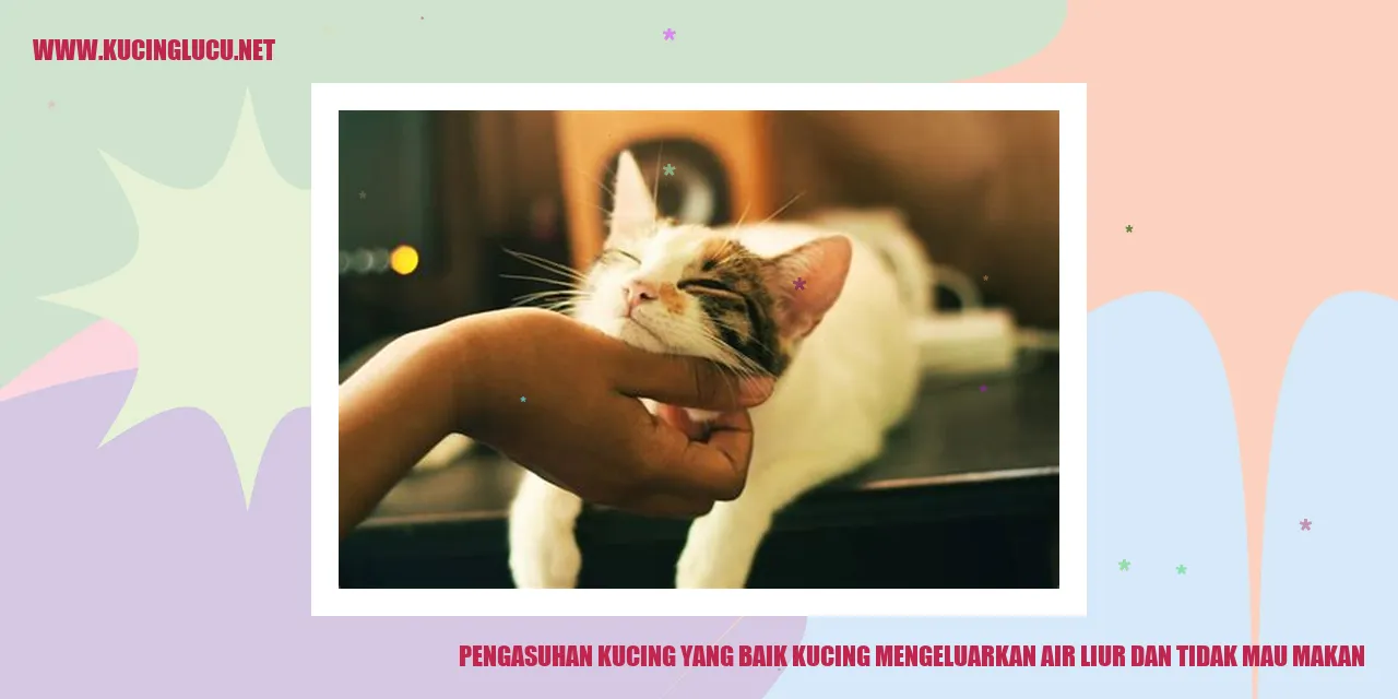 gambar kucing
