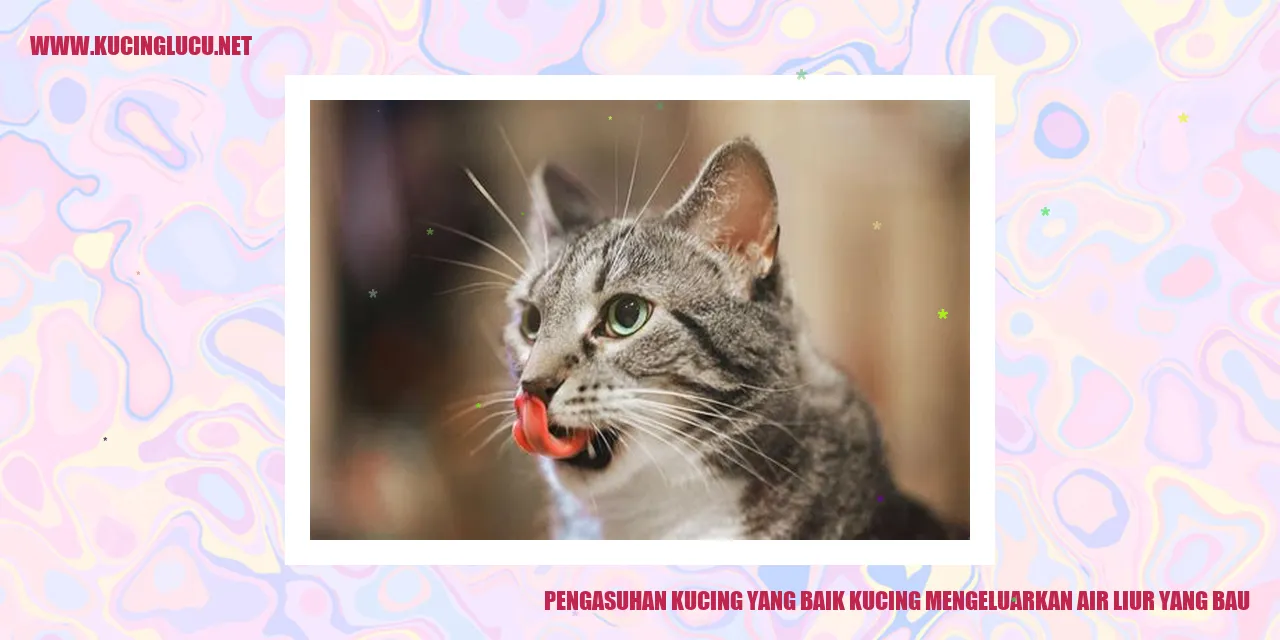 Gambar Kucing Mengeluarkan Air Liur