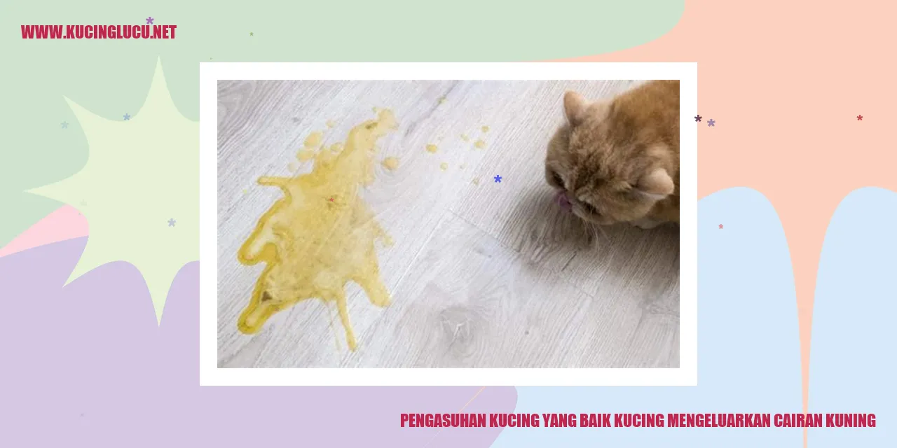 Kucing mengeluarkan cairan kuning