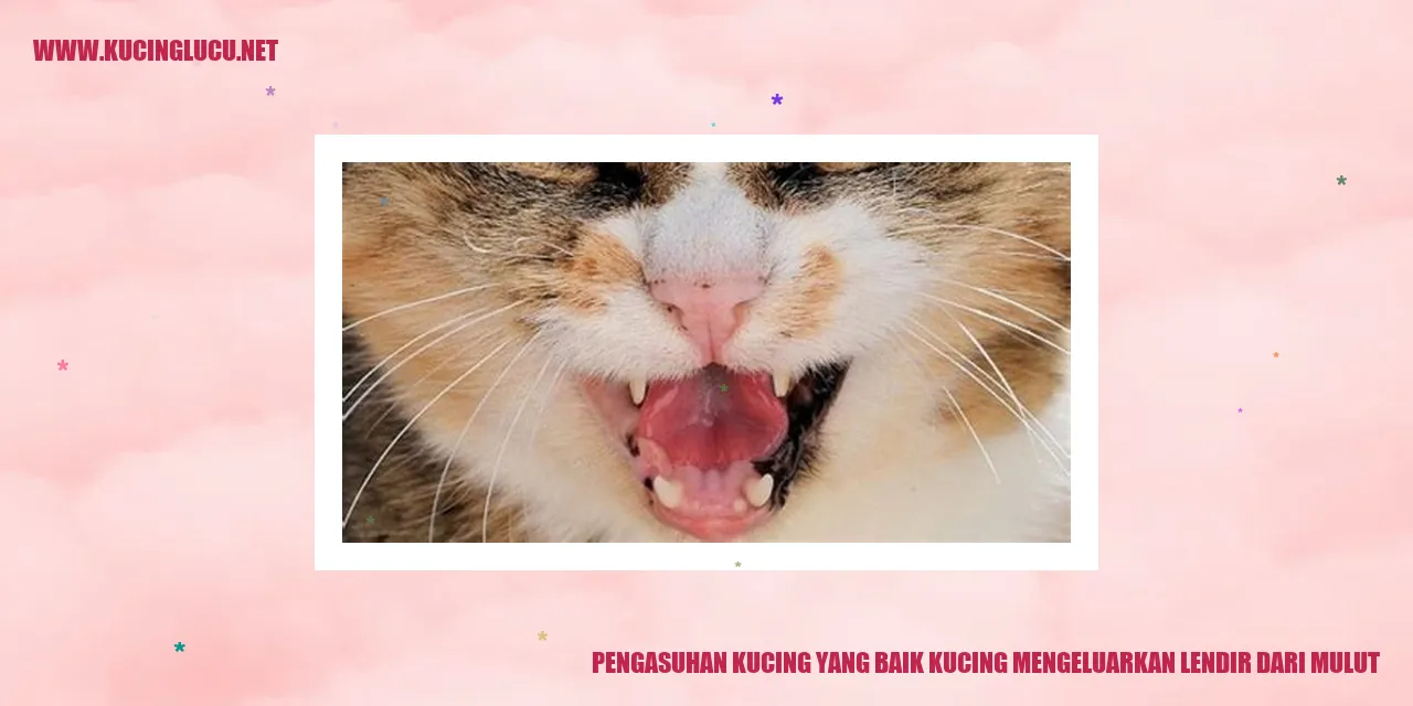 Kucing Lucu