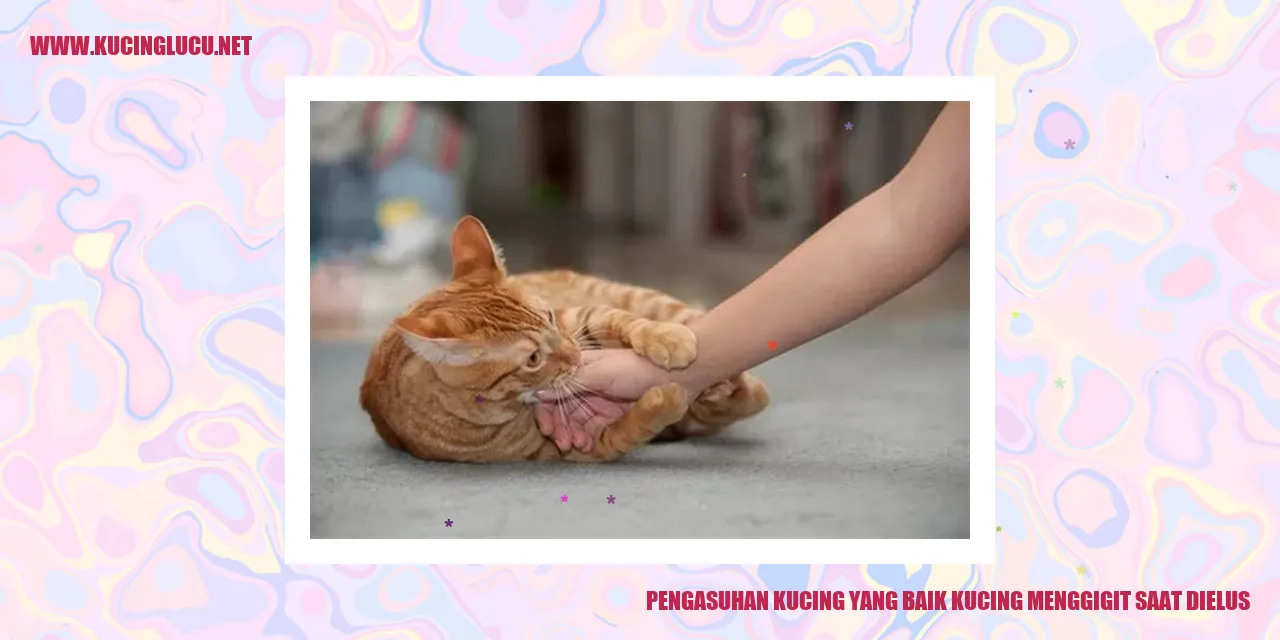 gambar kucing