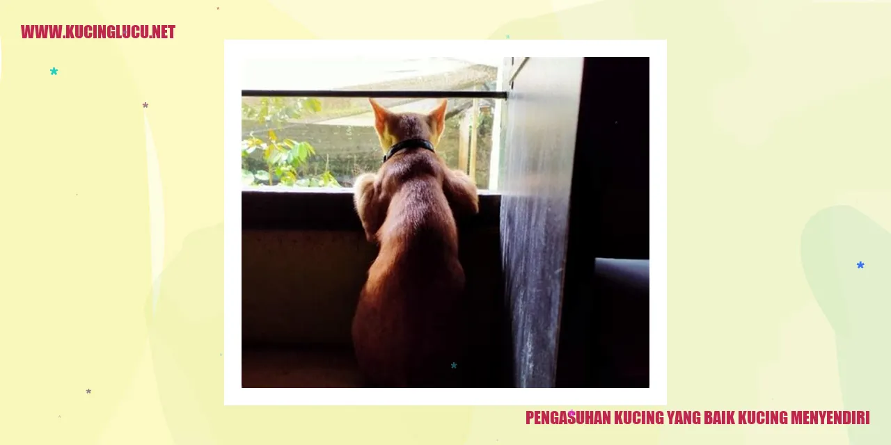 Kucing yang Menyendiri
