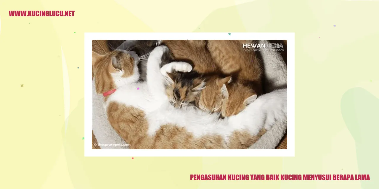 Kucing Menyusui