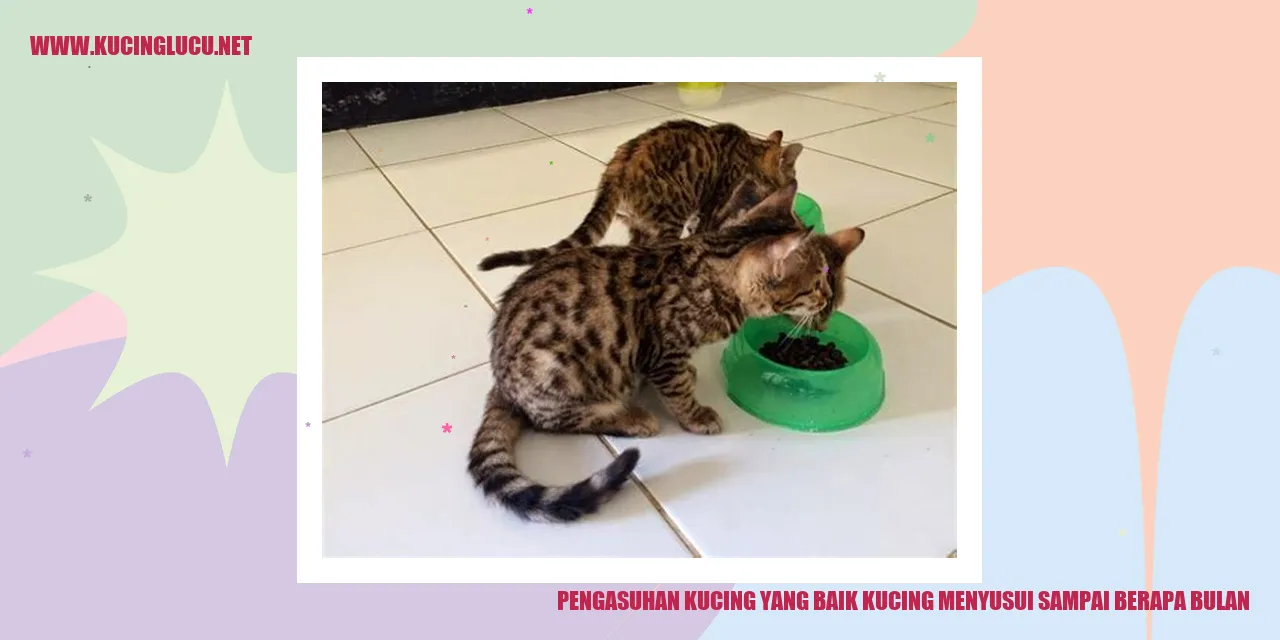 Gambar Kucing yang Menyusui