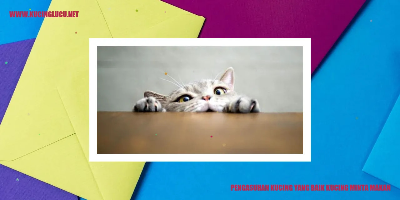 gambar kucing yang sehat dan bersemangat