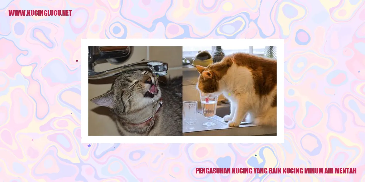 Gambar Kucing Minum Air Mentah