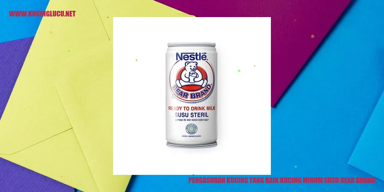 kucing minum susu bear brand