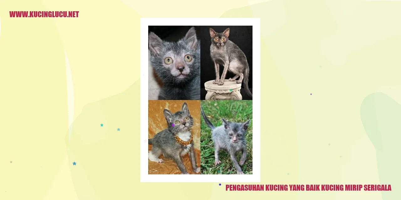 Gambar Kucing dan Serigala
