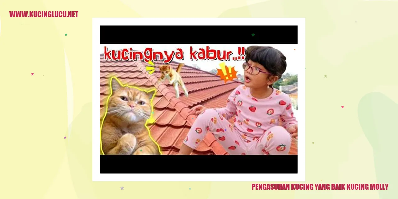 Merawat Kucing Molly