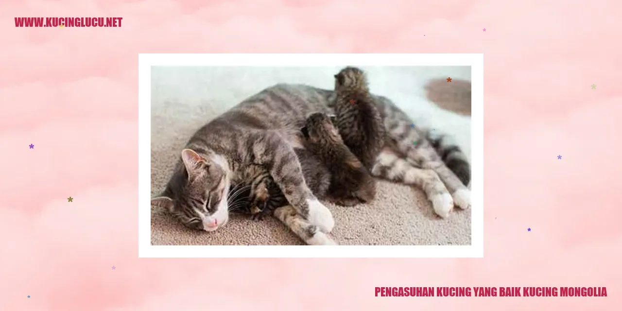 Kucing Mongolia