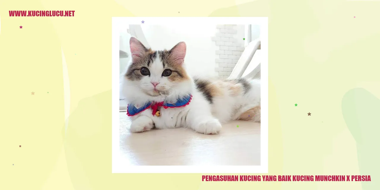 Pengasuhan Kucing yang Baik