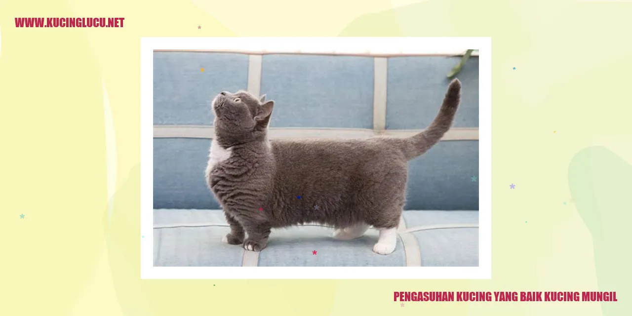 Pengasuhan Kucing