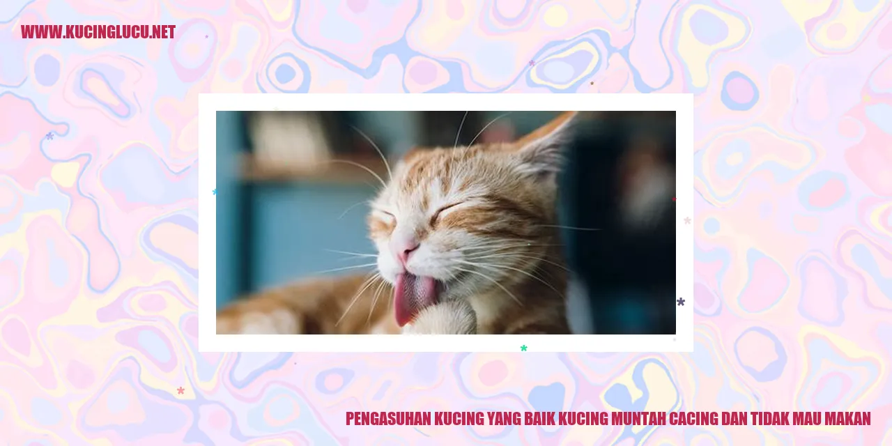 Gambar kucing