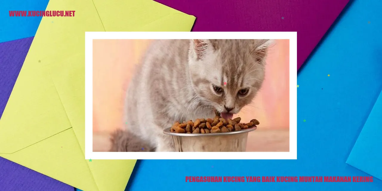 Kucing yang muntah makanan kering