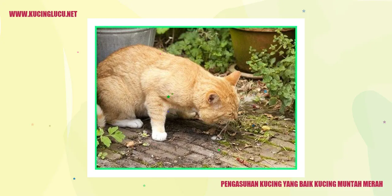 Kucing muntah merah