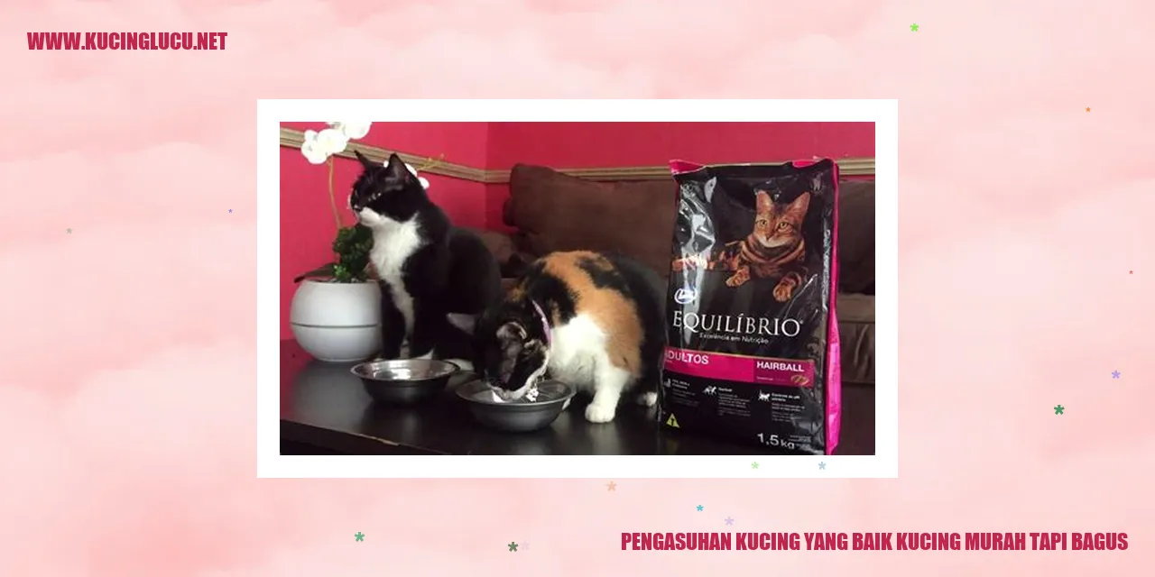 Gambar: Panduan merawat kucing dengan baik