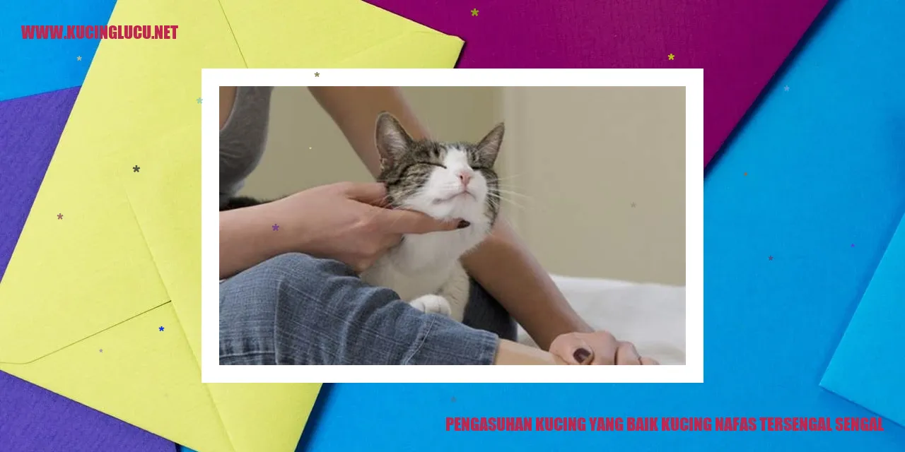 Kucing bernafas tersengal