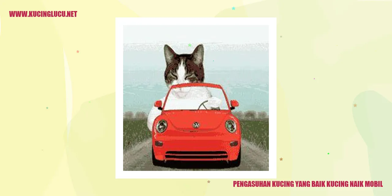 Kucing naik mobil