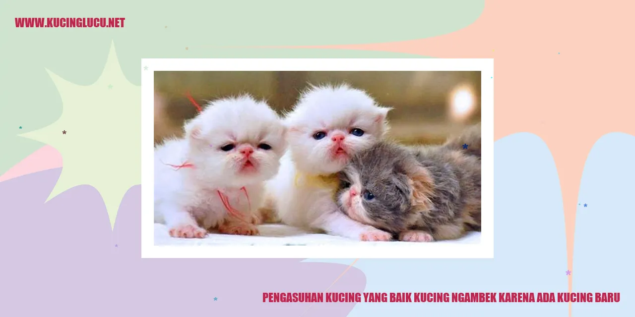 Kucing sedang cemburu