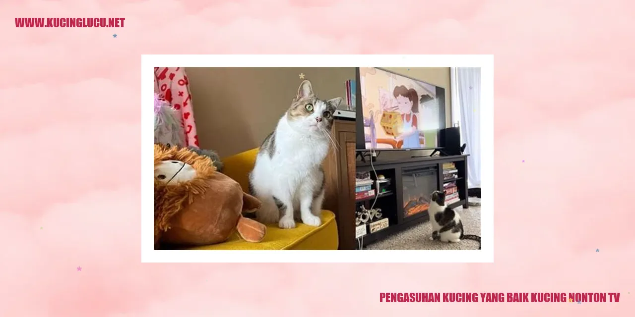 Gambar kucing menikmati tayangan TV