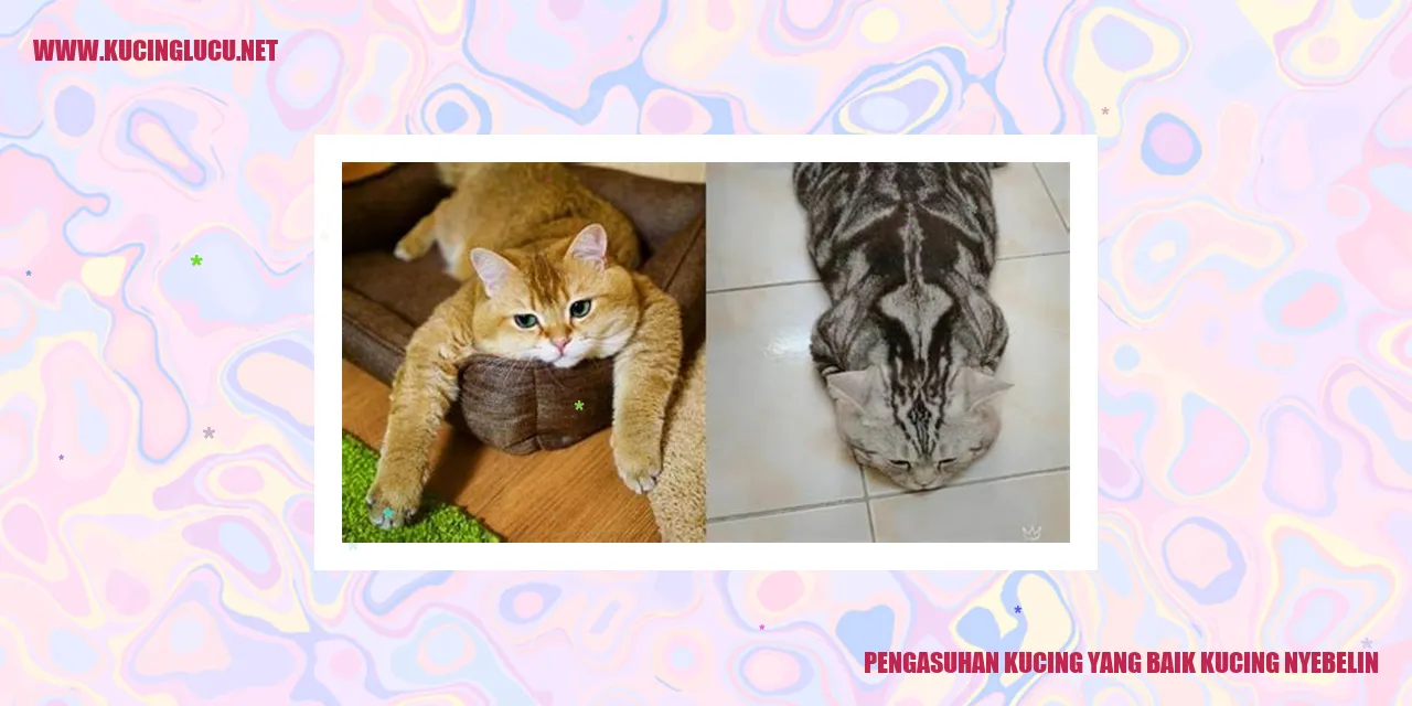 Potret Kucing Yang Menggemaskan
