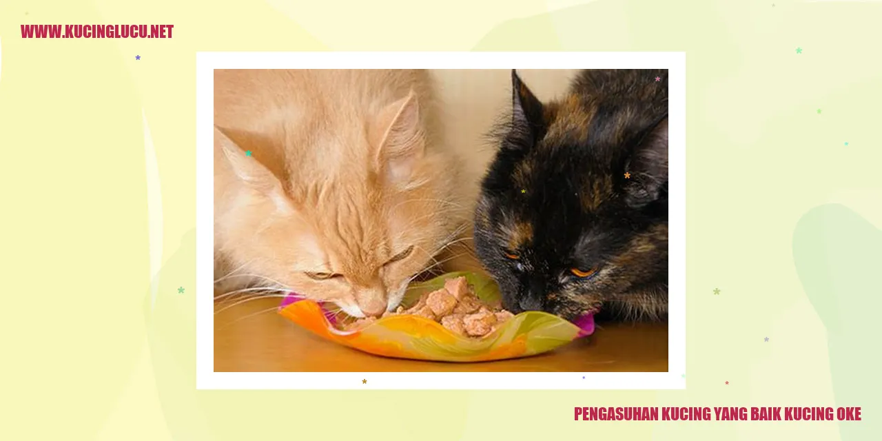 Mengasuh Kucing dengan Baik
