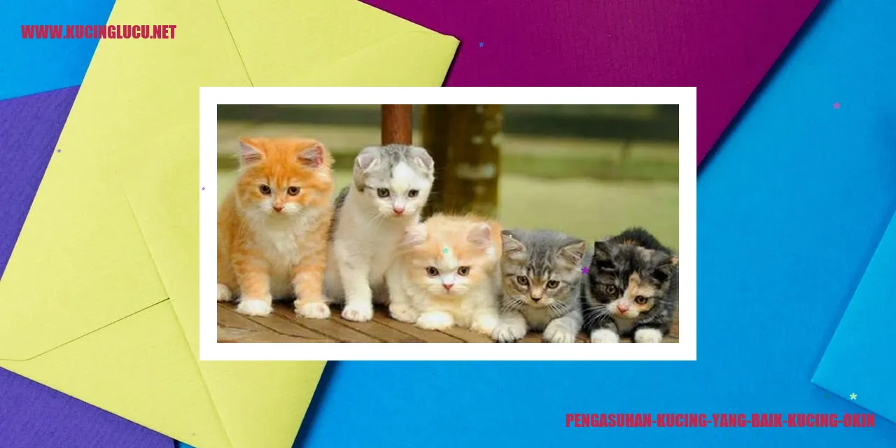Kucing yang Sehat dan Bahagia