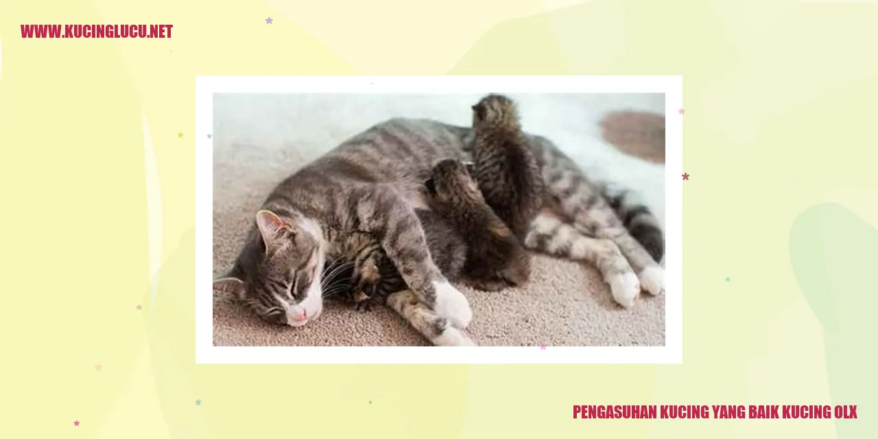 Kucing yang bahagia dan sehat
