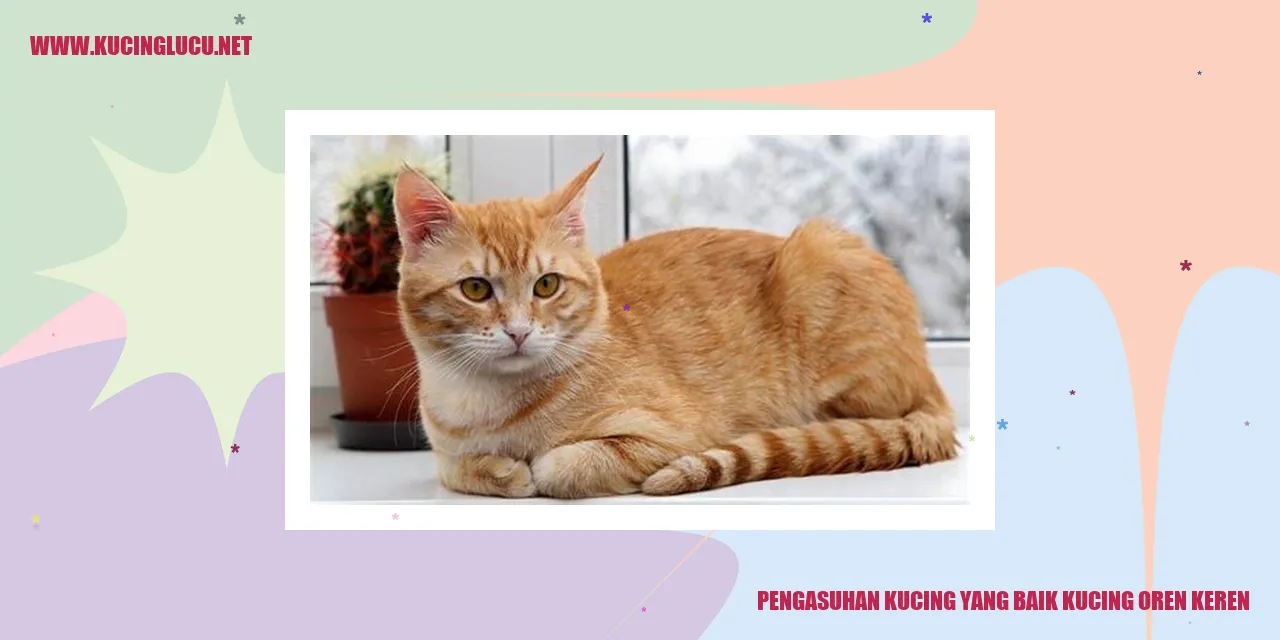 Kucing Oren Keren