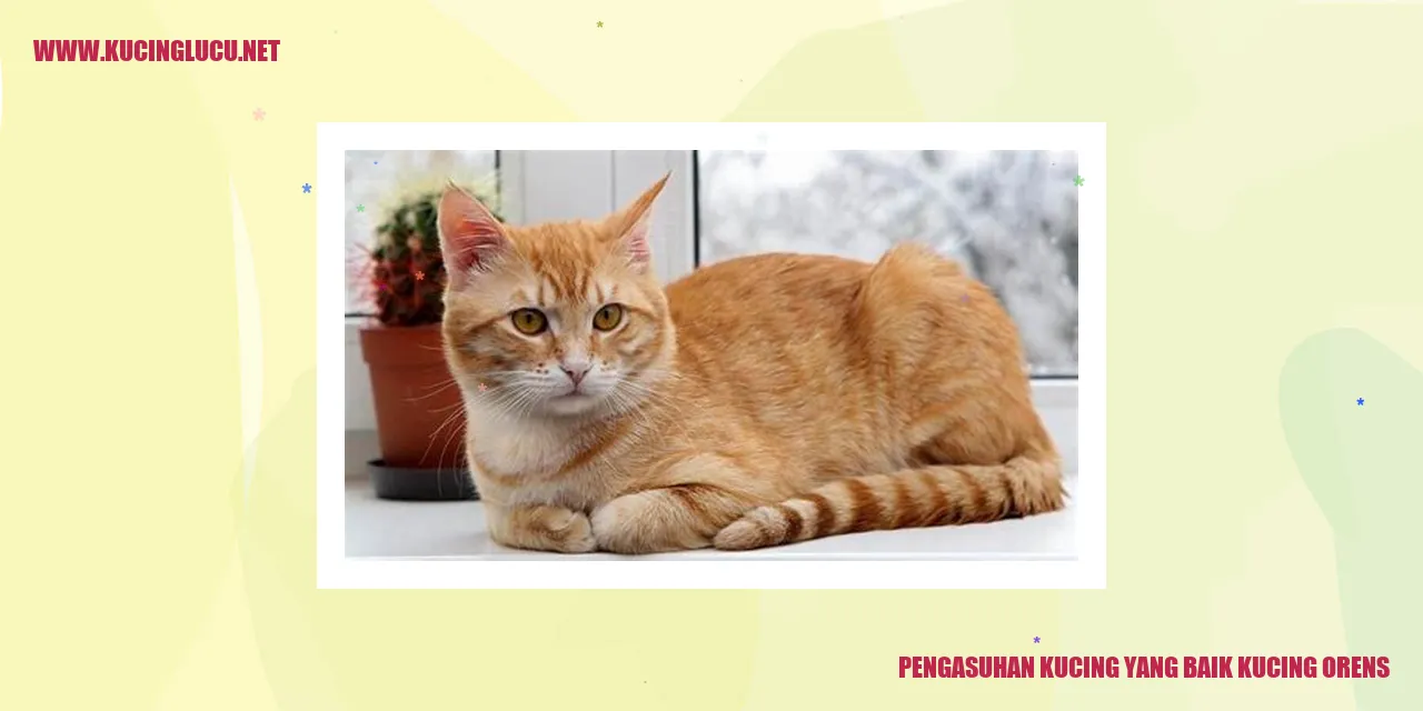Kucing Orens