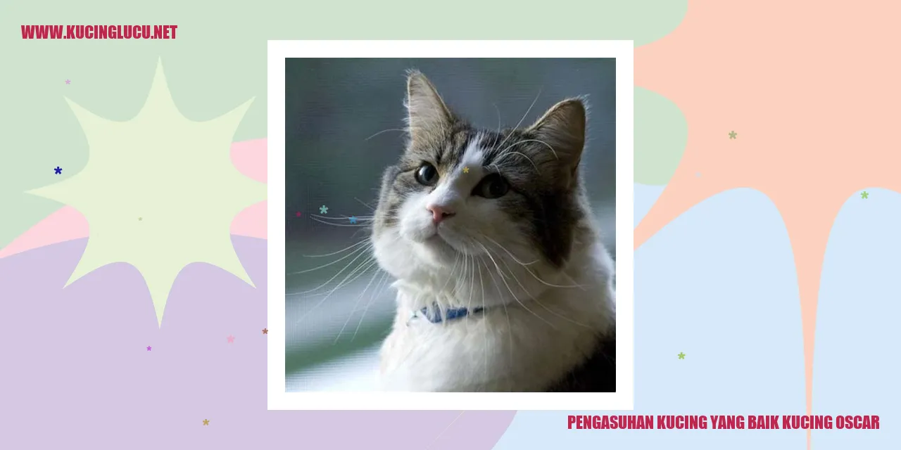 Pengasuhan kucing yang baik