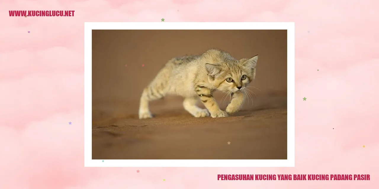 Kucing Padang Pasir