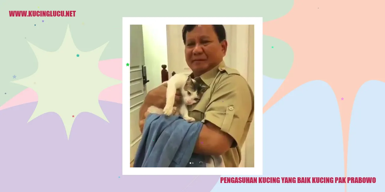 Gambar kucing yang mendapatkan perhatian