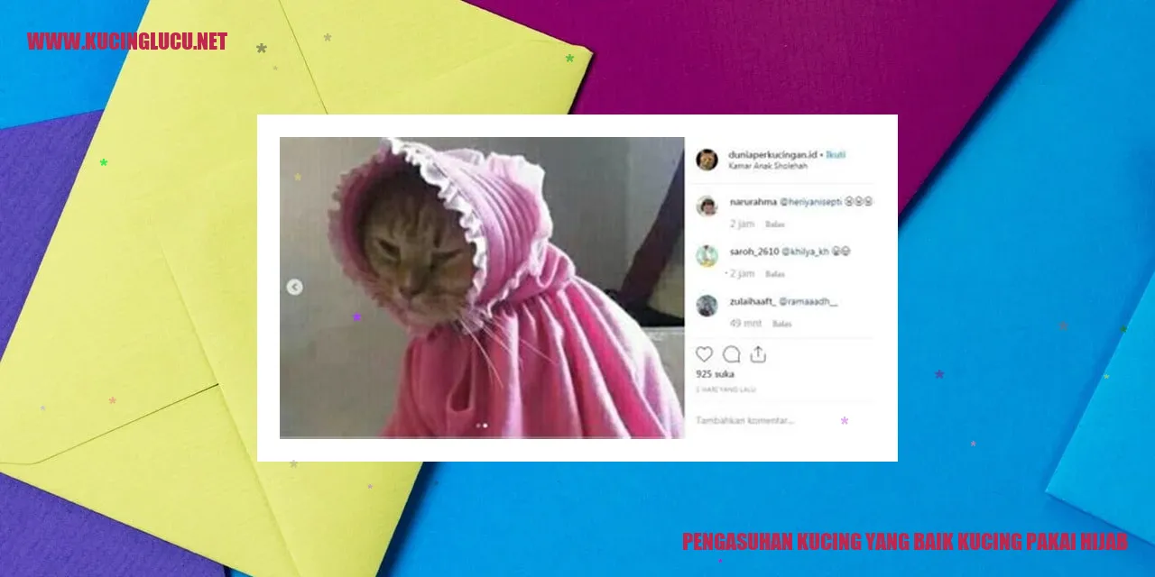 Kucing Berhijab