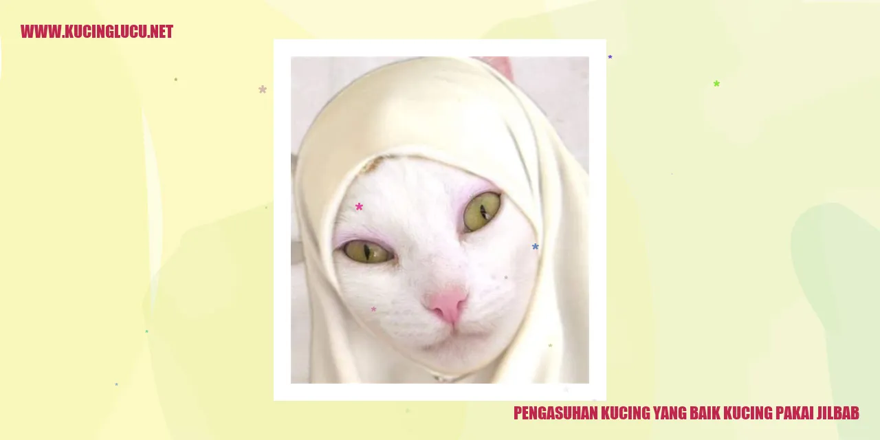 Foto kucing menggunakan jilbab