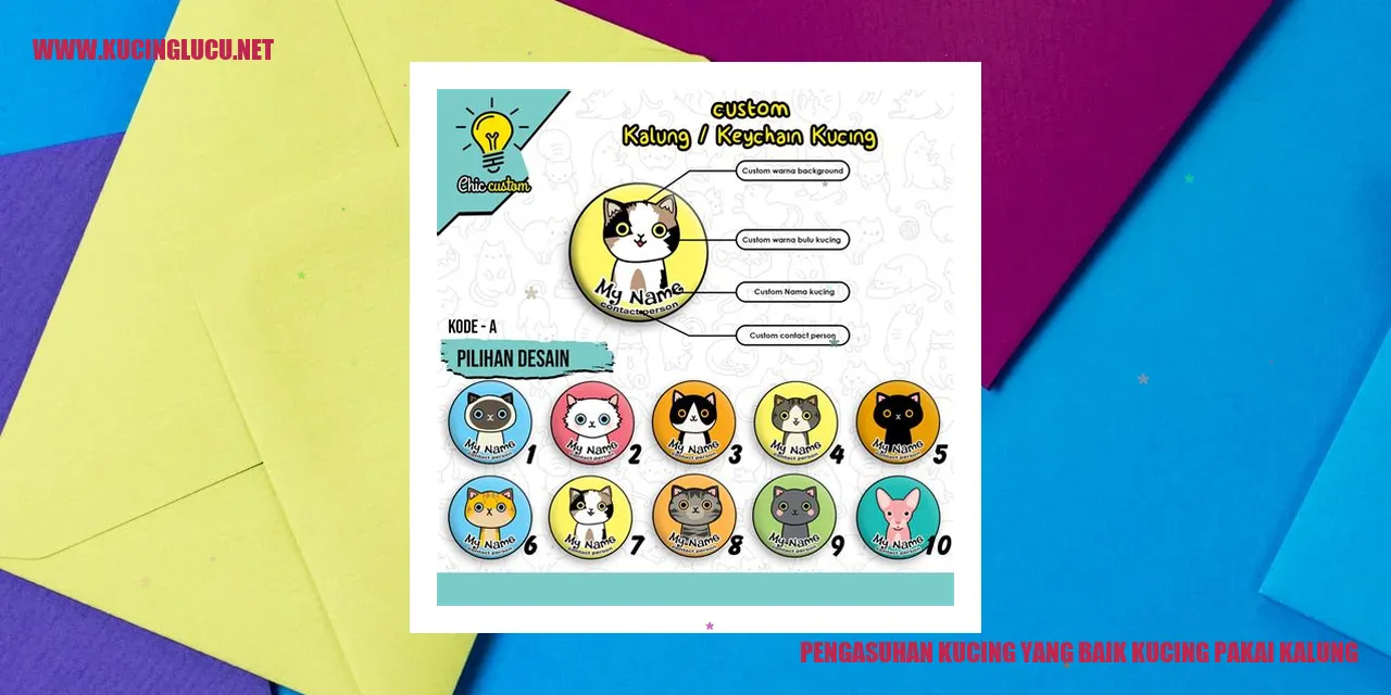 Pengasuhan Kucing yang Baik: Kucing Pakai Kalung