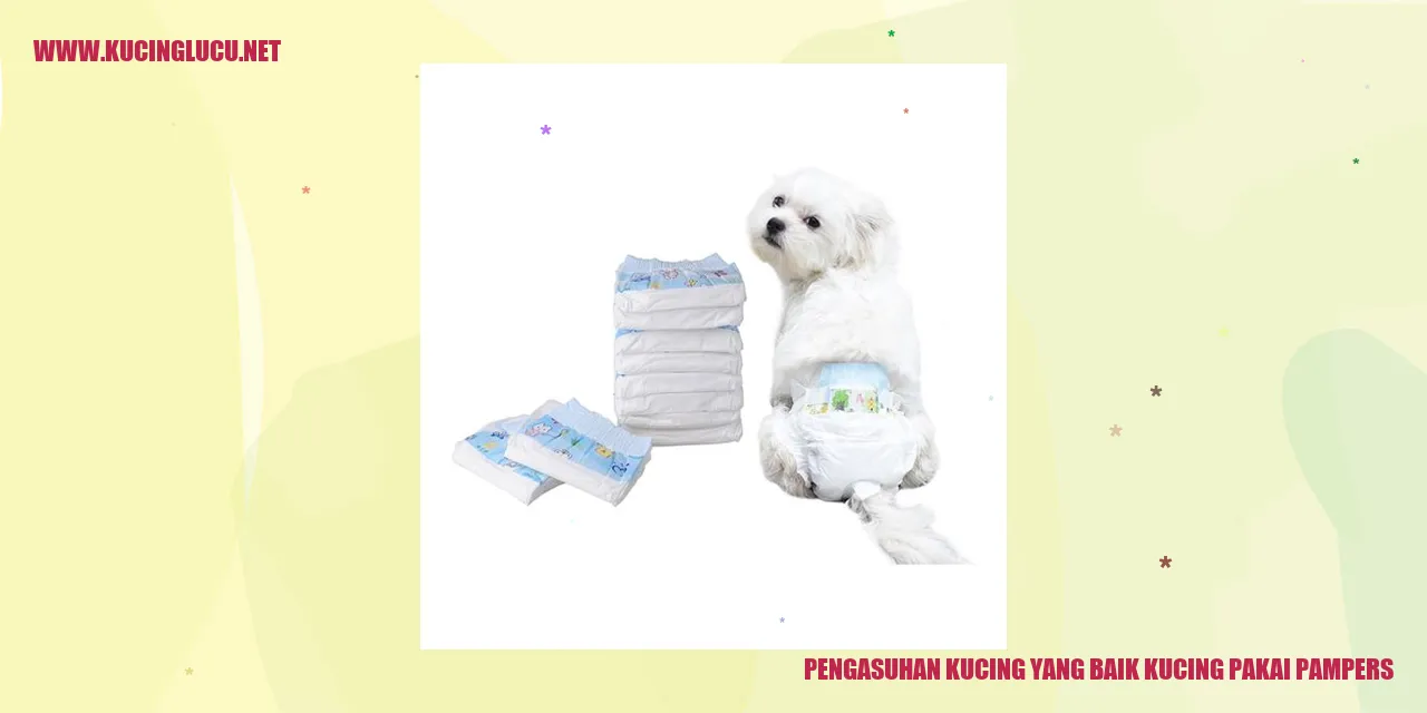 Kucing Menggunakan Pampers