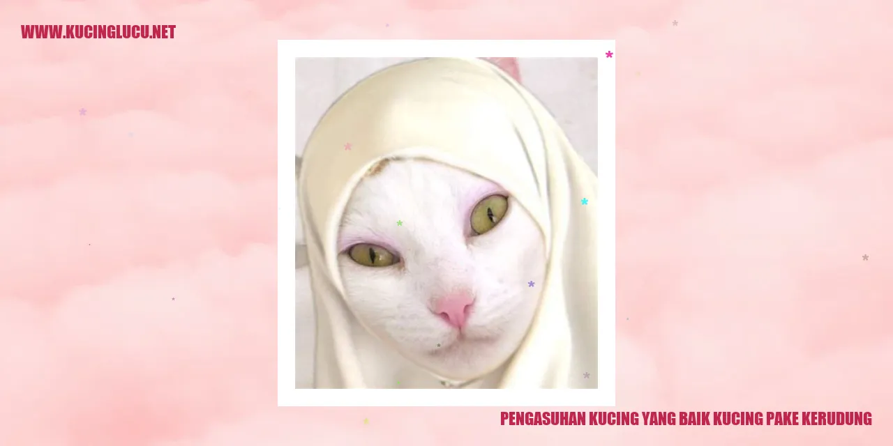 Kucing Menggunakan Kerudung