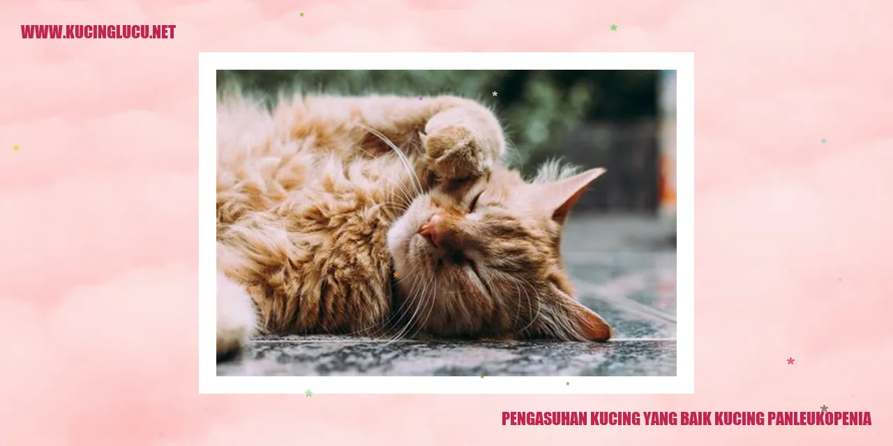 Ilustrasi Kucing