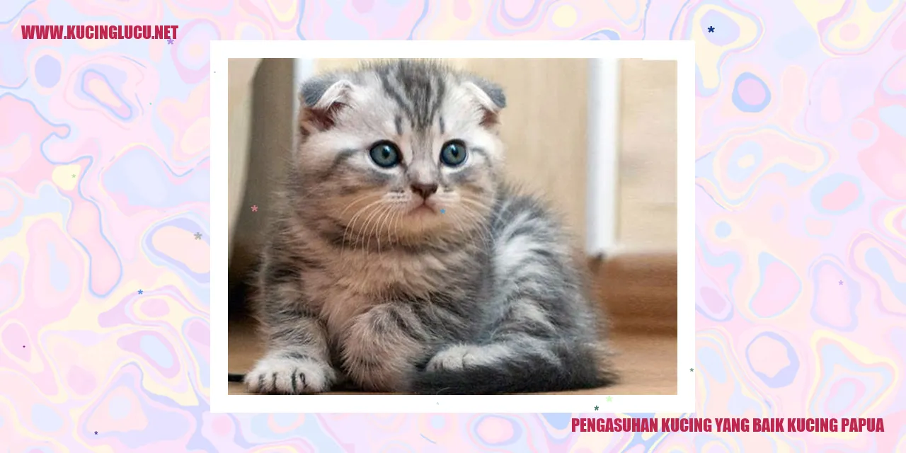 Gambar kucing Papua yang menggemaskan
