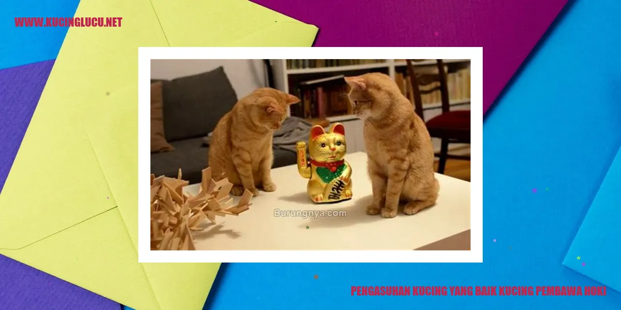 Pengasuhan Kucing yang Baik