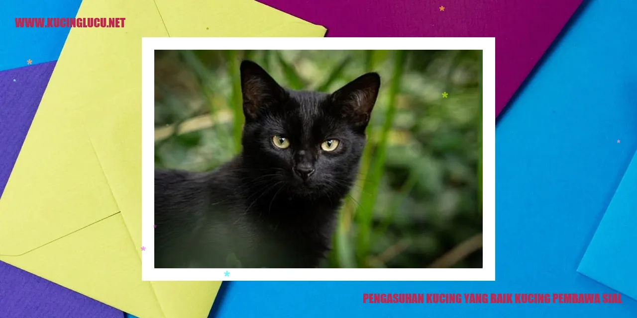 Pengasuhan Kucing yang Baik