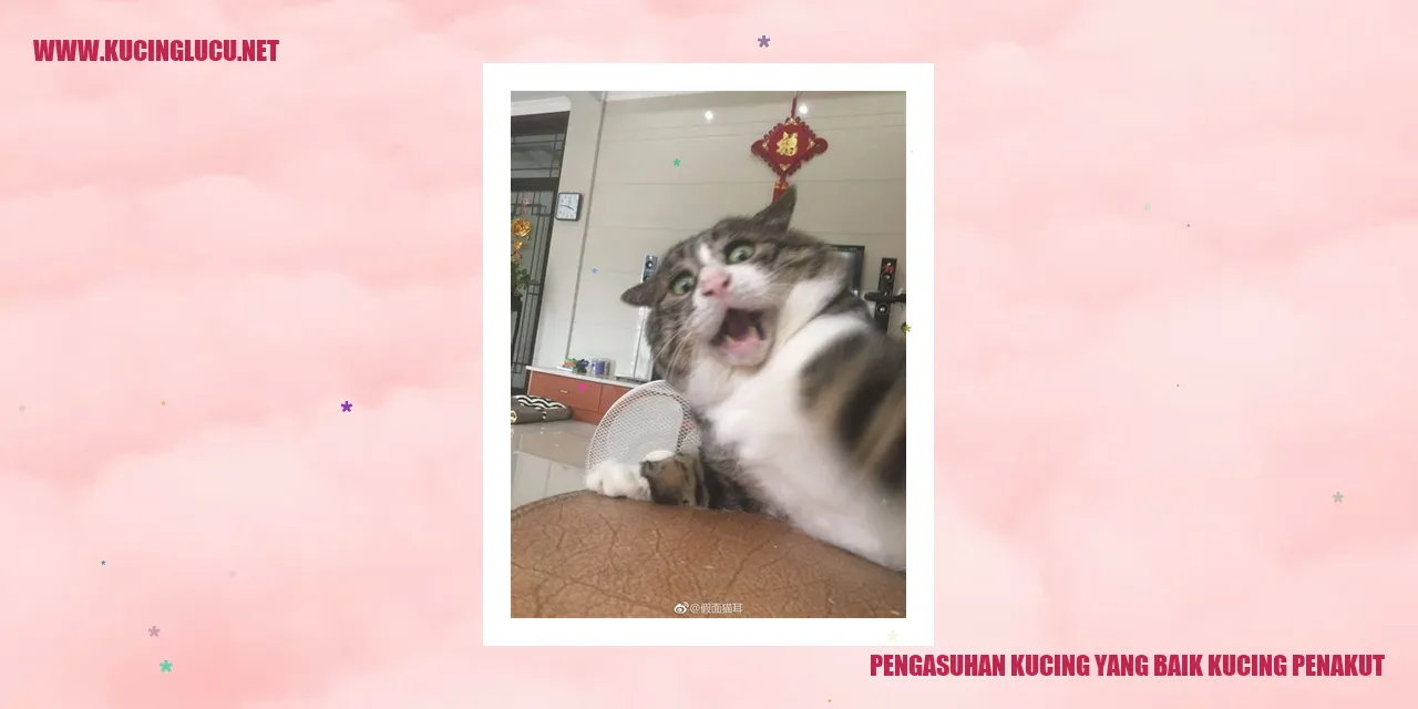 Kucing Penakut